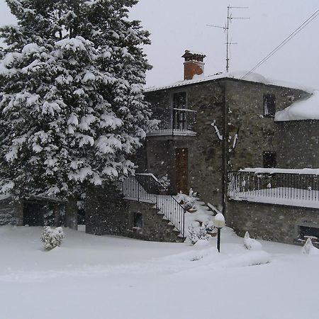 Agriturismo La Casina Caprese Michelangelo ภายนอก รูปภาพ
